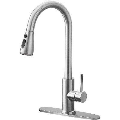 Qomolangma Kitchen Faucet with Pull Down Sprayer