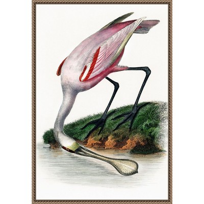 Amanti Art Spoonbill Crane by Incado Canvas Wall Art Print Framed 16 x 23-in.