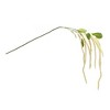 Melrose Amaranthus Floral Stem (Set of 4) - 3 of 3