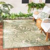 Courtyard CY7560 Power Loomed Indoor/Outdoor Area Rug  - Safavieh - 2 of 4