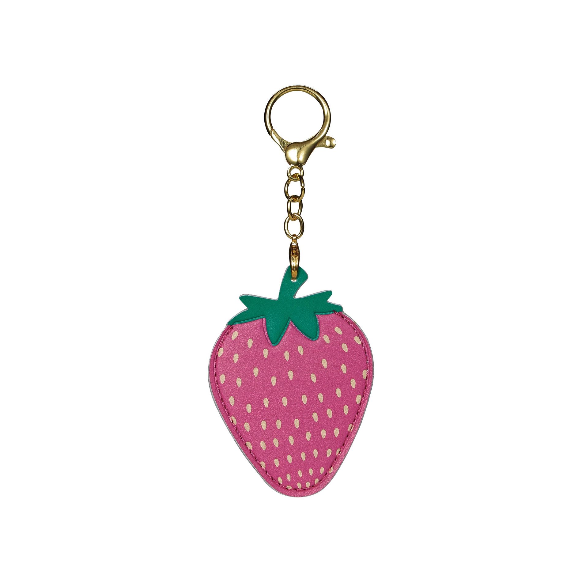 Vivitar Airtag Keychain