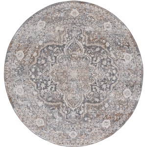 Finley FIN308 Power Loomed Indoor Rugs - Safavieh - 1 of 4