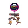 Playfuls Physical & Mental Wailua Falls Mobile Bird Toy - 3 of 4