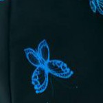 black ombre butterfly