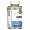 KAL Cal/Mag/Zinc, High Potency, 250 Tablets - 4 of 4