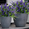Aoibox 24 Bundles Artificial Lavender Flowers Outdoor ¨C UV Resistant Faux Plants for Garden Porch Window Patio Hanging Planter Home Decor - 3 of 4