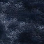tie-dye navy blue