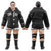 Rising Stars of Wrestling Action Figure Series: Jeff Cobb - 2 of 3