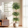Acekool Artificial Ficus Tree with Silk Leaves in Sturdy White Planter – Realistic Faux Indoor Plant for Home and Office Decor - 3 of 4