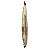 Tinkyada Brown Rice Penne Pasta - Case of 12/16 oz - 4 of 4