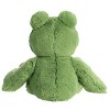 Aurora® Flopsie™ Fernando the Frog 12 Inch Stuffed Animal Plush - 4 of 4