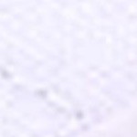 white coffee flowers