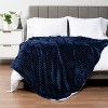 PAVILIA Soft Thick Fleece Flannel Ribbed Striped Throw Blanket, Luxury Fuzzy Plush Warm Cozy for Sofa Couch Bed - image 2 of 4