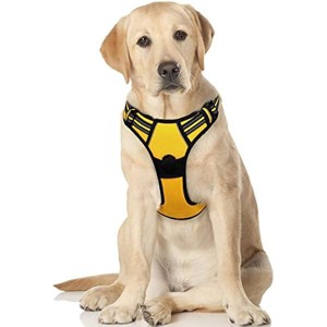 rabbitgoo Dog Harness, No-Pull Pet Harness with 2 Leash Clips, , Reflective for Large Dogs, Yellow, XL - 1 of 1
