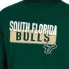 NCAA South Florida Bulls Boys' Long Sleeve T-Shirt - 3 of 3