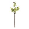 Green Berry Foliage Spray (Set of 4) - 2 of 3