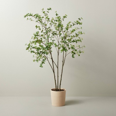 55" Faux Gypsophila Leaf Tree - Hearth & Hand™ with Magnolia