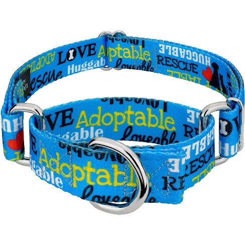 Country brook martingale dog collars cheap