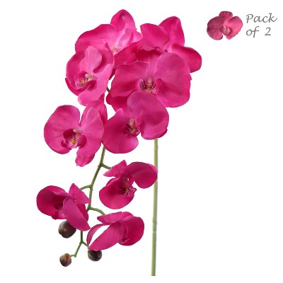 Floral Home 33.5" Fuchsia Phalaenopsis with 9 Flowers - 2-Piece