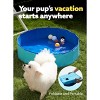 Joyfy 32/48/63" Foldable Dog Pet Pool, Portable Kiddie Pool, Anti-Slip Hard Plastic Bath Tub with Drain Suitable for Pets and Backyard Play with Kids - 3 of 4