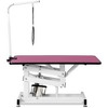 Whisen 42.5" Z-Lift Pet Grooming Table with Arm and A Noose - 4 of 4