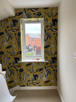 Guest review image 2 of 2, zoom in
