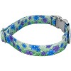 Country Brook Petz Premium Dog Collar - Spring Collection - 3 of 4