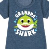 - Baby Shark - Grandpa Shark Graphic Short Sleeve Fleece Dress - 2 of 4
