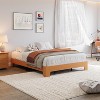 10.24" High Storage Platform Bed Frame - Wood & Metal Slats, No Box Spring Needed | Headboard Not Included, Easy Assembly - 3 of 4