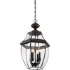 Quoizel Lighting Newbury 4 - Light Pendant in  Medici Bronze - 3 of 4