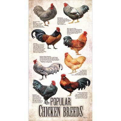 Sunsout Popular Chicken Breeds 500 pc   Jigsaw Puzzle 66409