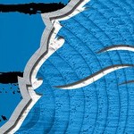 detroit lions