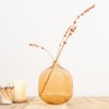 Storied Home Modern Round Tinted Glass Vase - 2 of 4