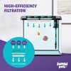 JumblPets Starter Fish Aquarium Kit, Beginner Glass Fish Tank Kit w/LED Lighting & More (2 Gallon) - 4 of 4
