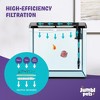 JumblPets Starter Fish Aquarium Kit, Beginner Glass Fish Tank Kit w/LED Lighting & More (2 Gallon) - image 4 of 4