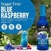 Syruvia Sugar Free Blue Raspberry Syrup for Coffee 25.4 fl oz Premium Coffee Flavoring Syrup - 2 of 4