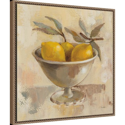 Amanti Art Fruits in Old Bowl I by Silvia Vassileva Canvas Wall Art Print Framed 22 x 22