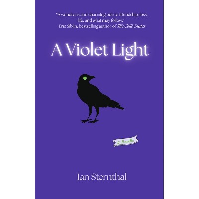 A Violet Light - by  Ian Sternthal (Paperback)