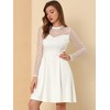 Allegra K Women's Heart Mesh Sheer Long Sleeve Gothic Cocktail Skater Party Dress - 4 of 4