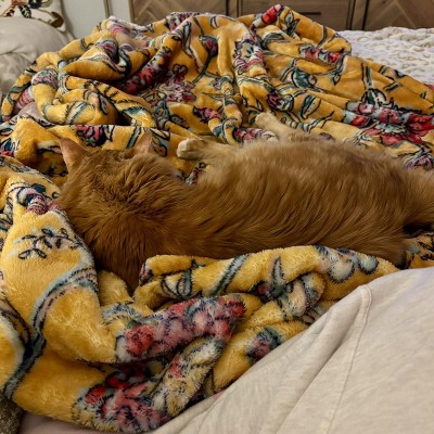 Guest review image 1 of 1, zoom in