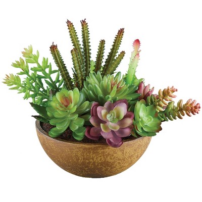 Collections Etc Faux Succulent Plants Arrangement In Pot : Target