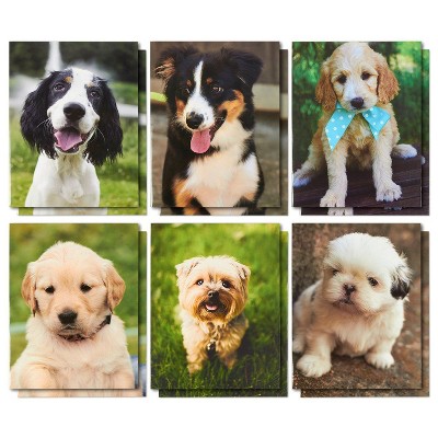 Blue Panda 12-Pack Puppy Pocket Folders Files for A4 Letter Size Documents 12 x 9.25 in