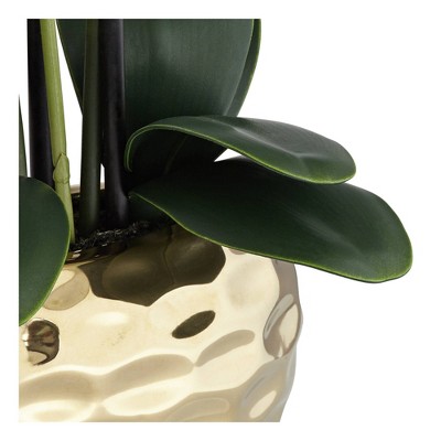 White Phalaenopsis Orchid in Textured Gold Ceramic Pot, 23" High