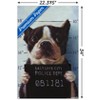 Trends International Lucia Heffernan Art - Boston Mug Shot Unframed Wall Poster Prints - 3 of 4