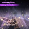 YEERSWAG Elegant Princess Bed Canopy Bed Curtain Nets with Luminous Stars Lights For Single to King Size - 3 of 4