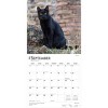 BrownTrout Black Cats 2026 12"x24" Hanging Square Wall Calendar Plastic-Free - 4 of 4