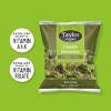 Taylor Farms Classic Romaine Lettuce - 9oz - 4 of 4