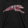 University of Indianapolis Official Distressed Primary Adult Pull-Over Hoodie - 2 of 4