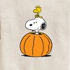 Boys' - Peanuts - Snoopy Woodstock Pumpkin Graphic Long Sleeve Fleece Sweatshirt - 2 of 4