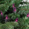 Northlight 35ct Mini String Lights Purple - 7' Black Wire - 3 of 4